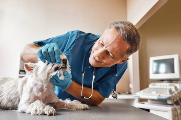 Best Emergency Tooth Extraction in Warrensville Heights, OH